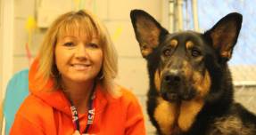 Max and Shiloh- Straw for Dogs Success Story