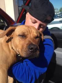 Buddy - A Straw for Dogs Success Story